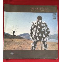 Двойная грампластинка Pink Floyd