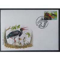 Беларусь 2026 КПД, птица года.