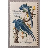 Птицы. Национальное Одюбоновское общество, охрана экологии.  США, 1963