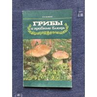 Грибы и грибные блюда