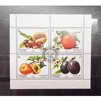 Шарджа. 1972 год. Флора. Плоды (сцепка) (1291)