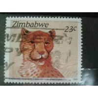 Зимбабве, 1989. Гепард
