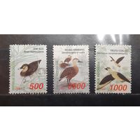 Индонезия. 1998 год. Фауна. Птицы. Утки (382)