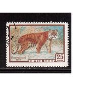 СССР-1959, (Заг.2241)  гаш.  ,Фауна, Тигр