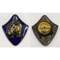 Копия Знак За ударную конную работу ОСОАВИАХИМ СССР