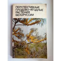 Перспективные плодово-ягодные растения Белоруссии