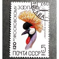 Марка СССР 1984 гол 120 лет Московскому зоопарку