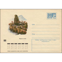 Художественный маркированный конверт СССР N 7549 (06.04.1971) Морские котики