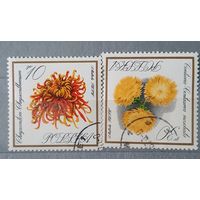 Польша цветы 2шт