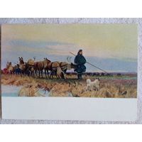 1956. Свешников. Переход на новые пастбища