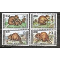 ФФ1 Монголия 1989 Бобр