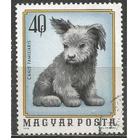 Венгрия. Собака домашняя. 1974г. Mi#3007.