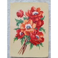 Зеленов. Маки