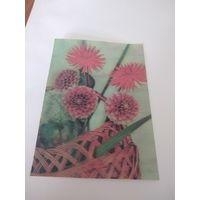 Открытка 1990г. Художник Г. Новикова. Стерео.