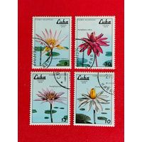 Куба. Флора. ( 4 марки ) 1979 года. 4-10.
