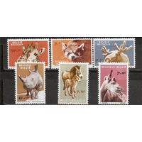 ФФ2 Бельгия 1961 Фауна