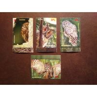 Румыния 2013 г.Ночные хищные птицы./1б/