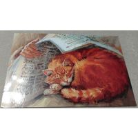 Посткроссинг. Открытка: кот и газета, худ.М.Павлова (11,5х16,5), издательство "Речь". Прошла почту. Художественная марка. штемпель.