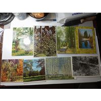 Открытки Природа  . С рубля