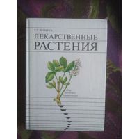 Шамрук, Лекарственные растения. Сбор, заготовка, применение