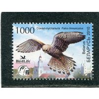 Беларусь 2010. Птица года. Сокол-пустальга