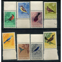 Нидерландские колонии - Суринам - 1966г. - птицы - 8 марок - полная серия, MNH, 2 марки с незначительным дефектом клея, 1 с жёлтым пятнышком на клее [Mi 484-491]. #3-WB-91-KS-2
