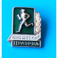 2 юношеский разряд.