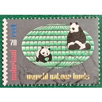 Нидерланды 1984. Панды