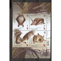 ФФ3 Украина 2016 Летучие мыши