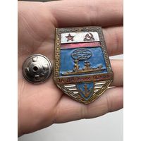Значок.За Дальний Поход