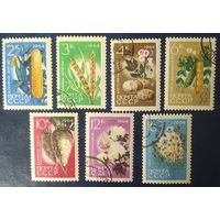 СССР 1964 растения,  марки 3,4,6,12,16 следы от наклеек.