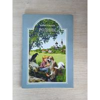 Книга. Борис Ганаго. Родник.