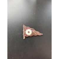 Редкий значок вымпел с какарды служащего судов и плотов государственной лесной промышленности 1924г.