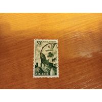 Французская колония Алжир архитектура фауна птицы (4-16)