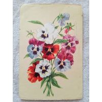 Зеленов. Анютины глазки