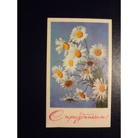 С праздником!  Ромашки. 1967 г.  подписанная.