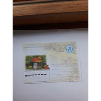 ХМК Беларусь 2006 Подосиновик