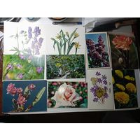 Открытки Цветы . С рубля