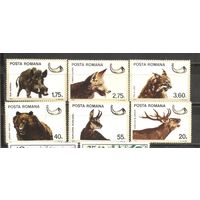 ФФ1 Румыния 1976 Охота