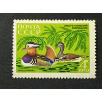 1970 СССР. Животный мир Сихотэ-Алинского государственного заповедника. К 35-летию со дня основания. Утка мандаринка