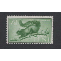 Испанская Ифни 1955* Фауна Белка