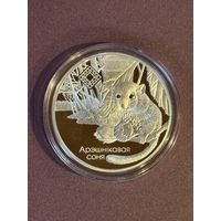 Заказник Свитязянский. Орешниковая соня. Арэшнiкавая соня. 2023 год. 20 рублей. Серебро. Тираж 750.