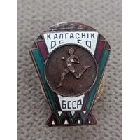 ДСО Колхозник