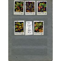 СССР, 1982,  ЯГОДЫ дикорастущие,  серия 5м,   (на "СКАНЕ" справочно приведены номера и цены по ЗАГОРСКОМУ))