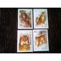 Беларусь 2000 серия рыси