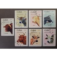 Распродажа с 1 рубля! Фауна. Куба. 1973 год. Коровы (7 марок)