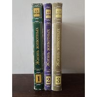 Брэм. Жизнь животных в 3-х томах 1992г
