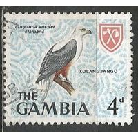 Гамбия. Птицы. Орлан-крикун. 1966г. Mi#215.