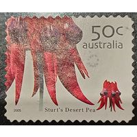 Австралия 2005. Флора. Sturts Desert Pea