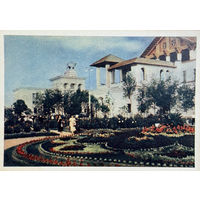 Всесоюзная сельскохозяйственная выставка Уголок Главмясо 1954